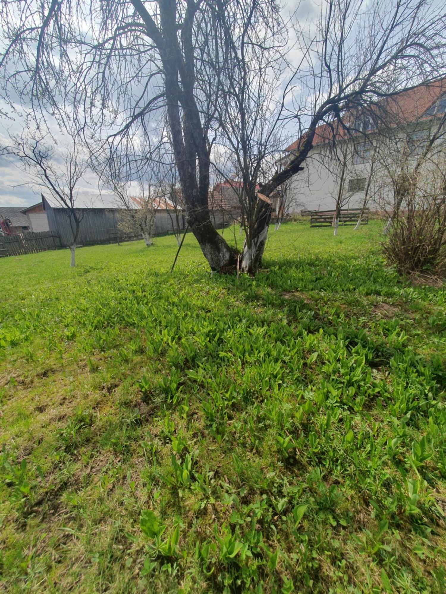 Casa tradițională Bilbor Exterior foto